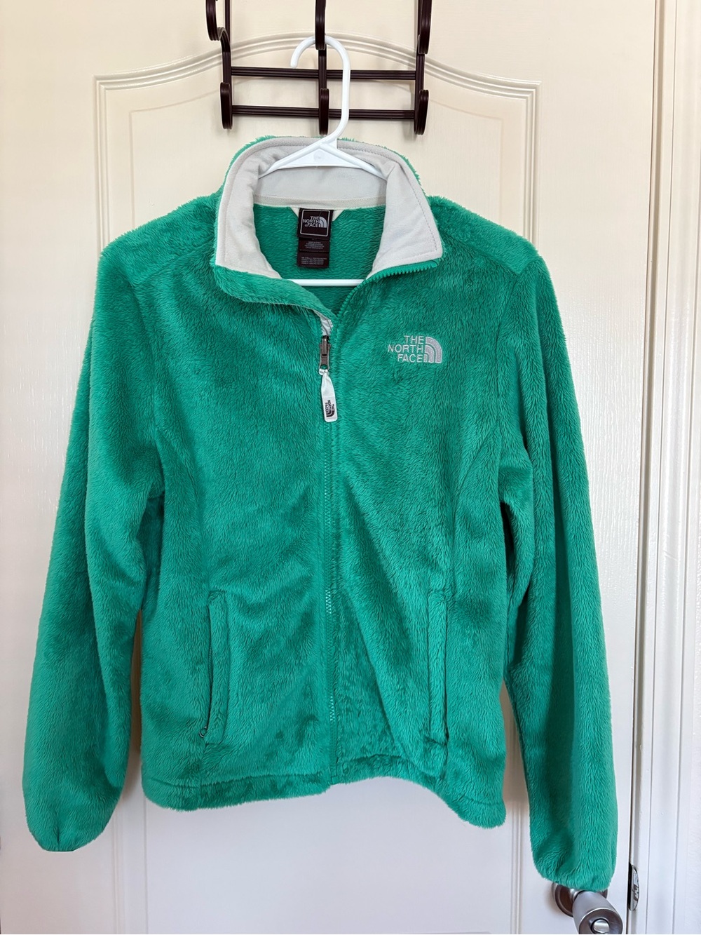 The North Face Green Jacket